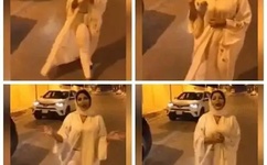 年轻的姐姐2线观高清